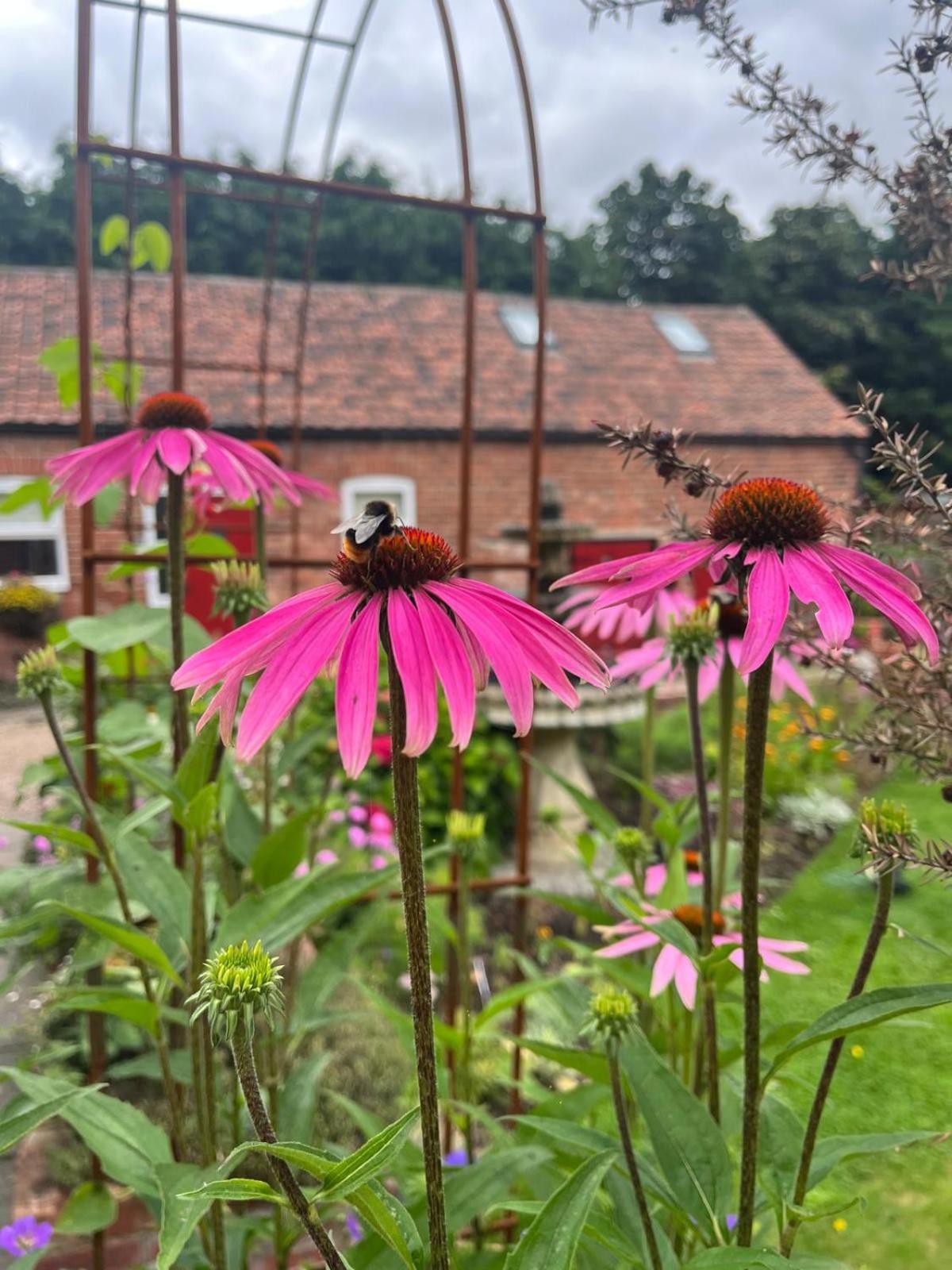 Home Farm & Lodge Bawtry Bagian luar foto